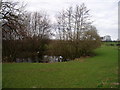 Pond and fields near Winterbottom  near High Legh