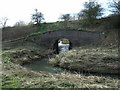 SP6282 : River under Railway. by Richard Williams