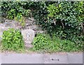 Milestone, Stoke Gabriel Road, Galmpton