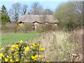 Thatched Cottages, Colemore Common