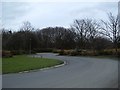 SJ3785 : Road through Otterspool Park by Tom Pennington