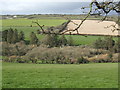 Helford River valley