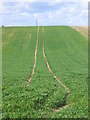 Farmers Tracks through field - North from Public Footpath 22