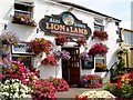 Lion & Lamb Public House