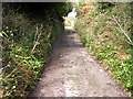 The Old Road from Portwrinkle