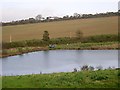 SX3655 : Pond near Sheviock by Tony Atkin