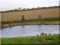 Pond near Sheviock