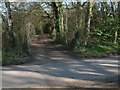 Bridleway at Margery Grove