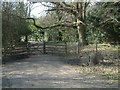 North Downs Way West of Colley Hill