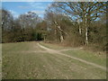 Bridleway on Banstead Heath