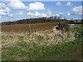 Field View near Potsgrove Lodge