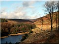 SK1794 : Howden Dam from Cold Side by John Fielding