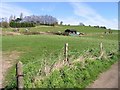 Paddocks on Hersden Hill