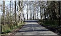 Fenced lane meets Woburn Road