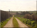 Rural Track, near Blandford St Mary