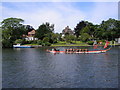 Dragon Boat Racing Canbury Gardens