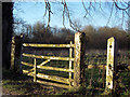 Lichen covered gate near Asserton