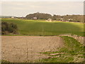 Across the Fields, near Bryanston