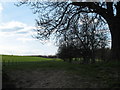 Bridleway to Mackershaw