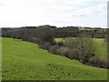 Skell Valley to the west of Ripon