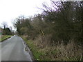 Lane near Carr House Farm