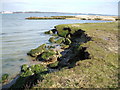 Eroding Saltmarsh at Spartina, Hythe