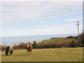 Horses at Cerrig Duon