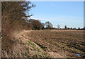 Stubble in the late afternoon sun