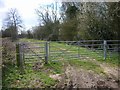 Green Lane near Denford Ash