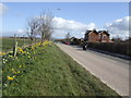 A38 towards Bridgwater