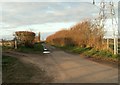 Country road by Overbury Hall, near Lower Layham