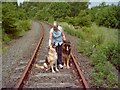 Disused Weardale railway line