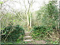 Stone stile and old village pump at the start of the Coed yr Hendy  path