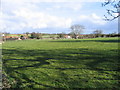 Meadow, South Creake