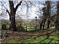 View from All Saints, Nazeing churchyard, Essex