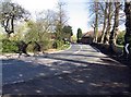 Road from All Saints, Epping Upland, Essex