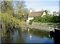 Village Pond, Fonmon, Vale of Glamorgan.