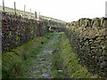 Old path up to Musbury Tor