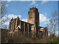 Rear of Anglican Cathedral from St James Mount Gardens