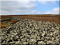 NT6259 : Mutiny Stones, Byrecleugh Ridge by Lisa Jarvis