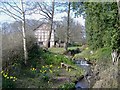 Stream at Woods Eaves