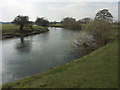 SK2528 : River Dove looking upstream near Egginton by Jerry Evans