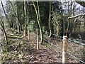 New fence by woodland near Elm Hag Lake