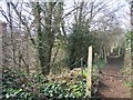 Footpath from Fellows Lane to Hope Recreation Ground