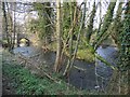 The River Alyn and Millrace Confluence at Caergwrle