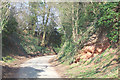 Narrow Lane from Ludstone, Shropshire