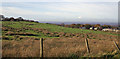 Field behind Clog and Billycock