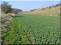 Bridleway To East Heslerton Wold