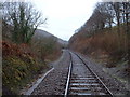 The rail line near Dol-fach