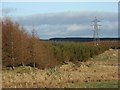 Plantation and pylon, Spadeadam